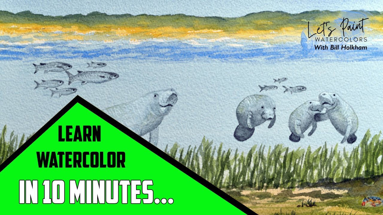 Learn how to Paint WATERCOLORS | Manatees in Florida