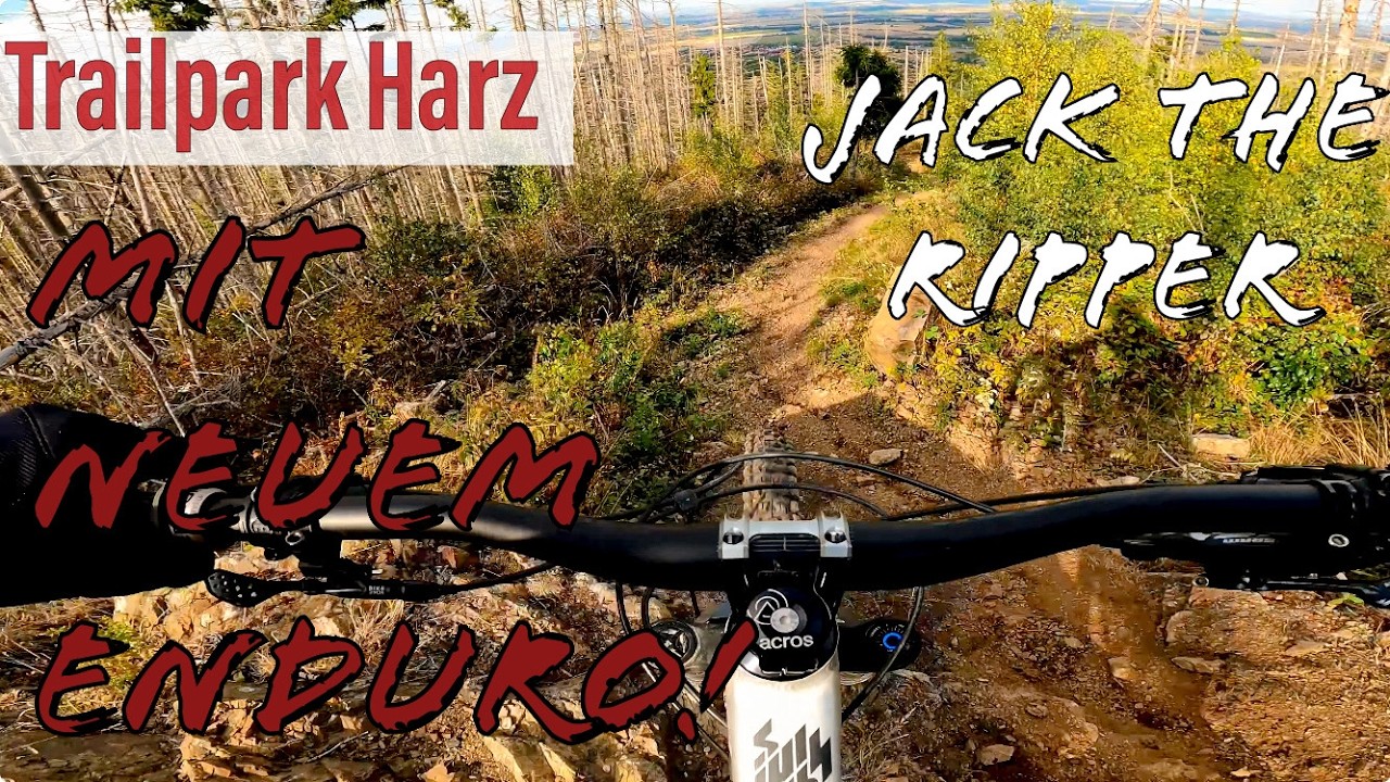 Jack The Ripper Trail (Harz) | Neues Enduro MTB: Schneller & Sicherer Fahren? | Trailpark Abenteuer