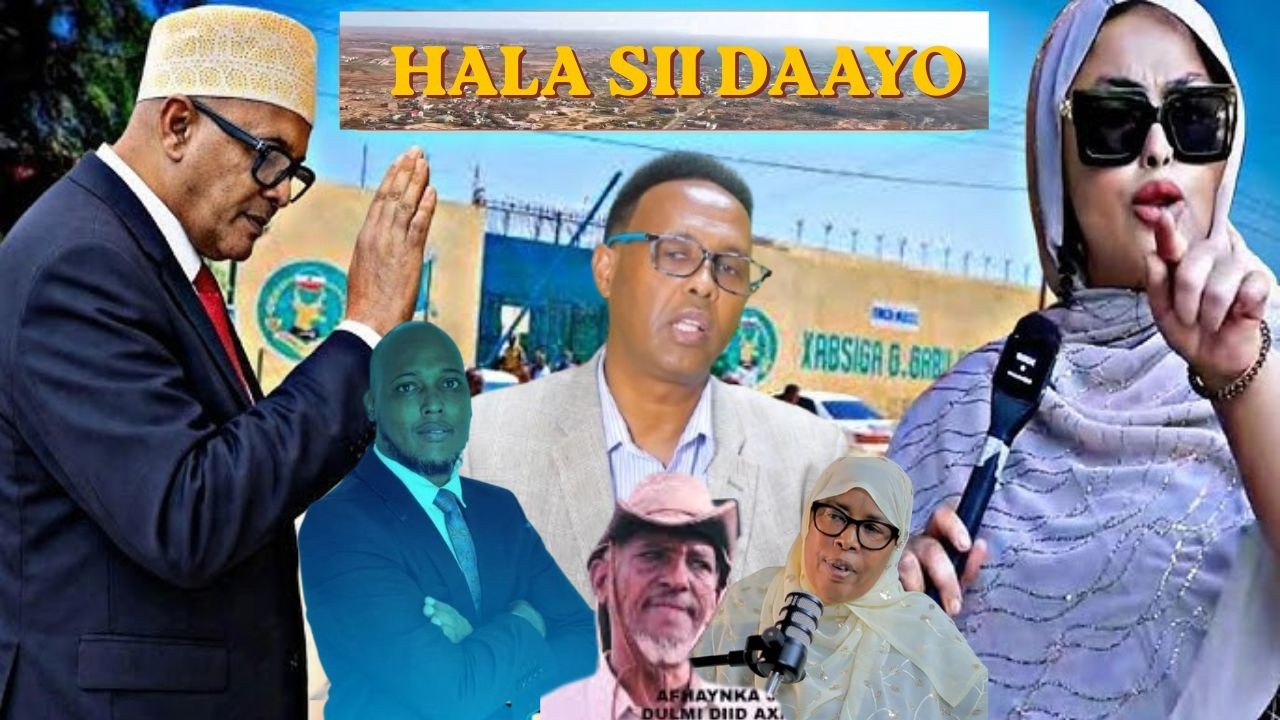 Afhayeenki Jabhadi Buurta Gacan Libaax Lama Xidhine,xukumadu Waxa Ay Wado