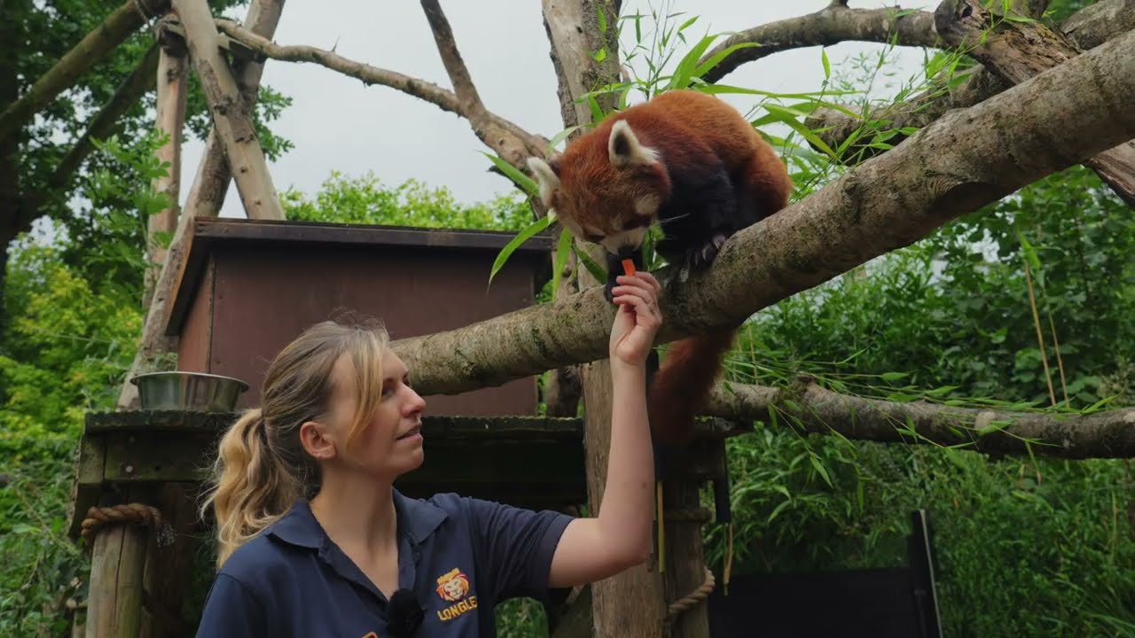 2024 at Longleat