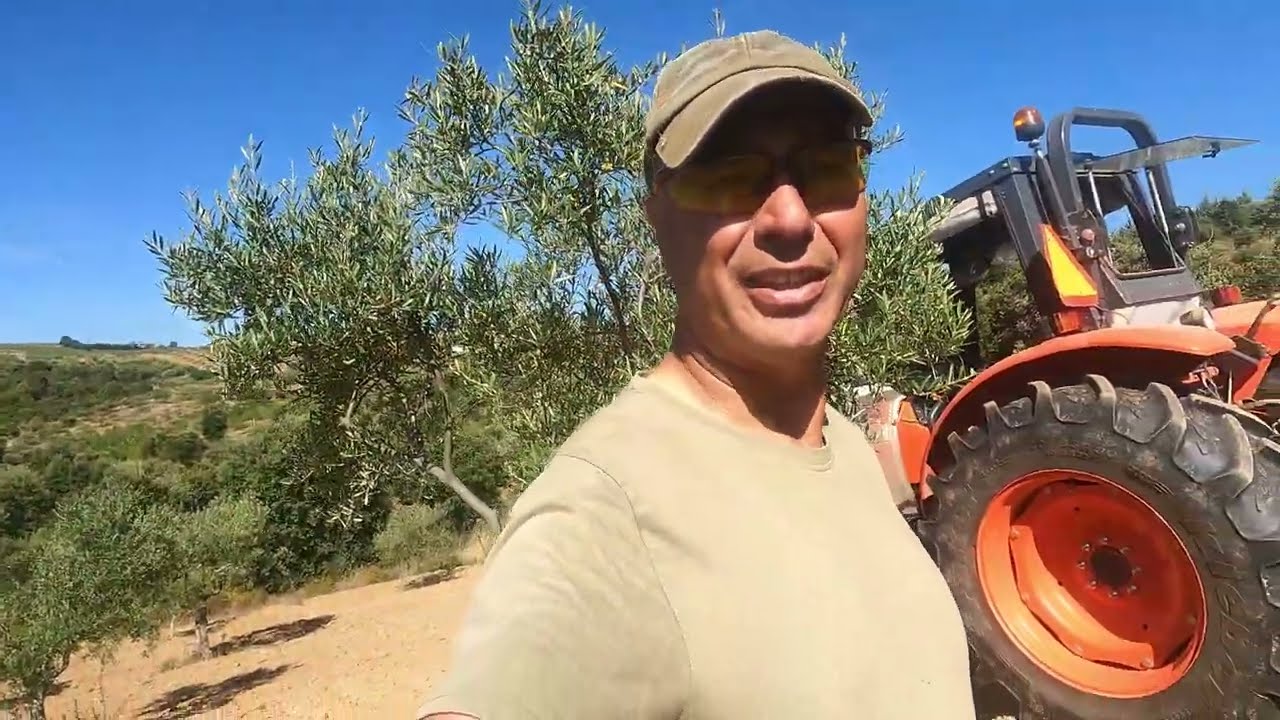Kubota, lavrar olival