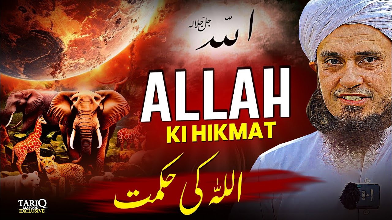 ALLAH Ki Hikmat | Mufti Tariq Masood