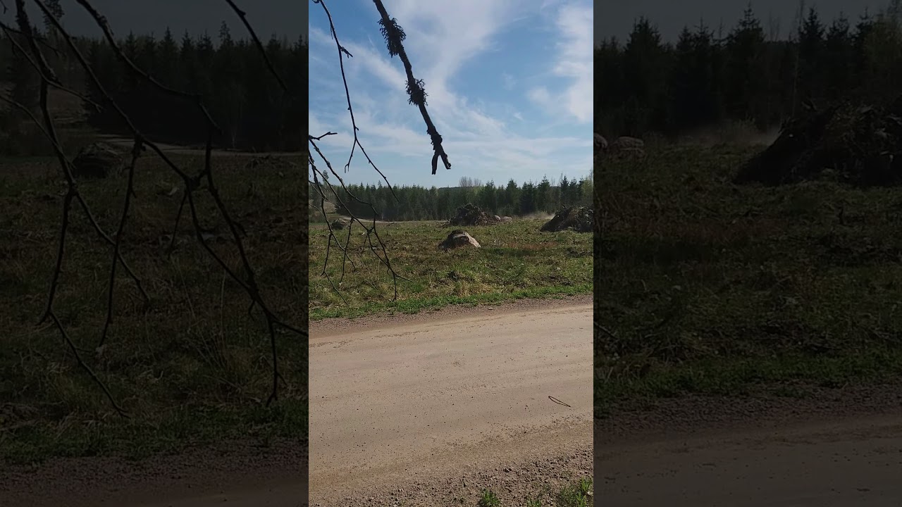 Netbaron ralli 2018