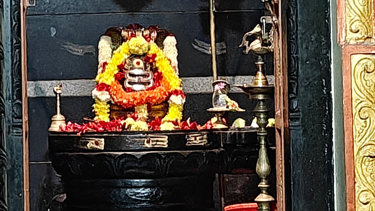 మన సనాతనం  is live