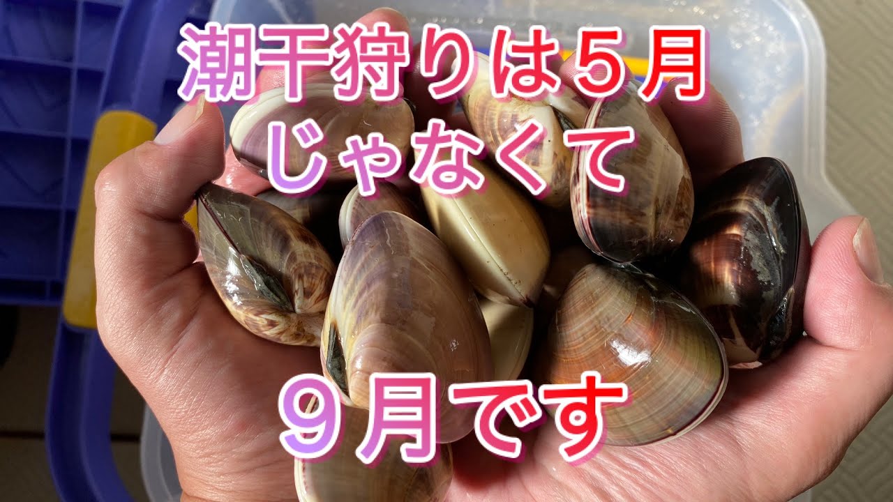 潮干狩り　待ってたよこの時期を　あとは台風次第だね
