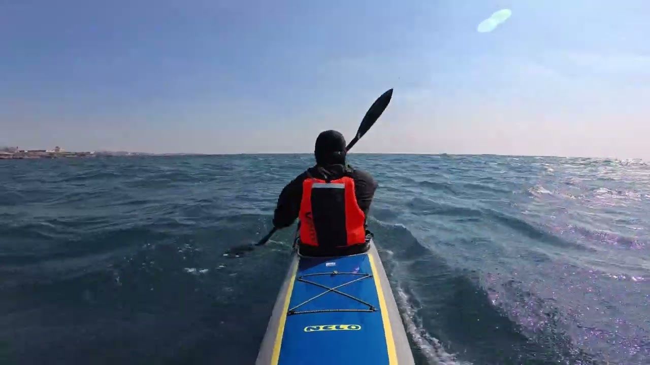 제주바당 여밭은 지뢰밭!!!