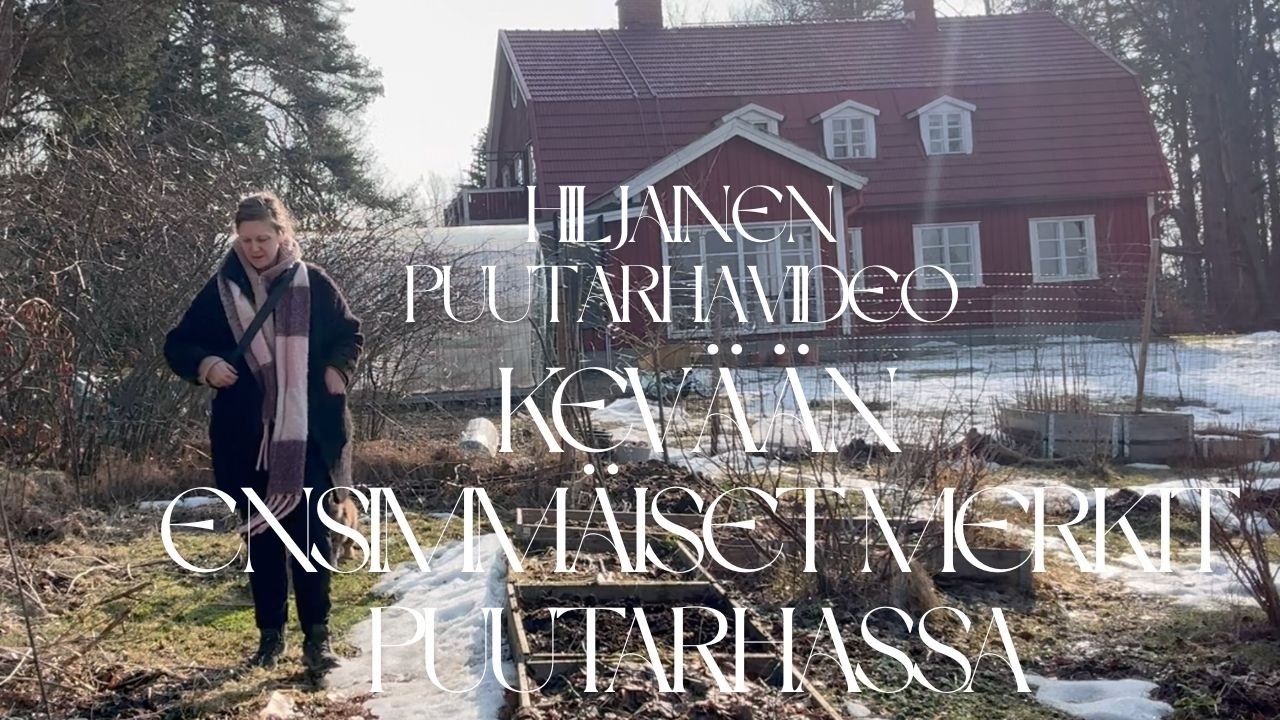 Kevään ensimmäiset merkit puutarhassa | Hiljainen puutarhavideo