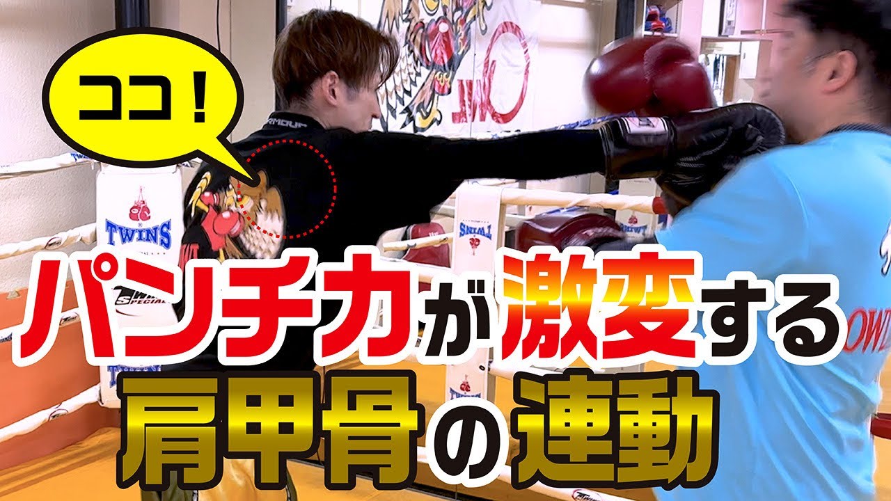 【神回】パンチ力が激変する肩甲骨の連動