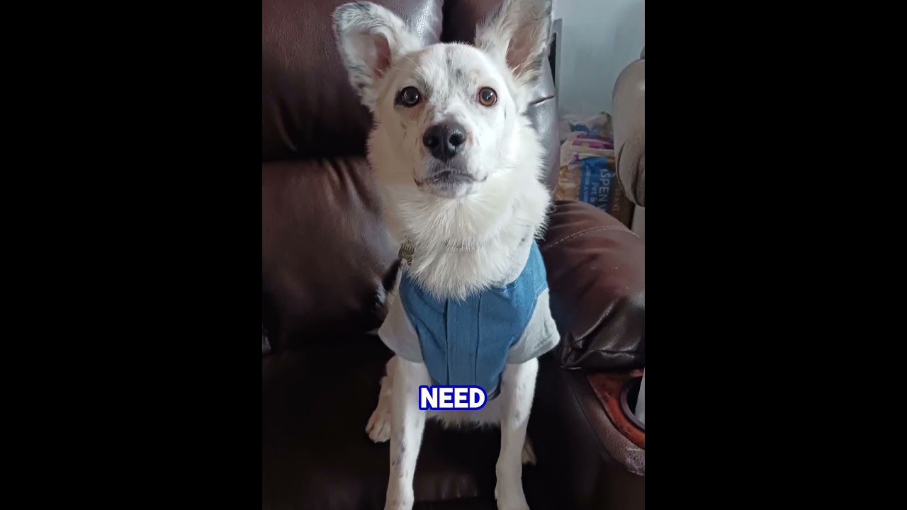 can you be my friend 