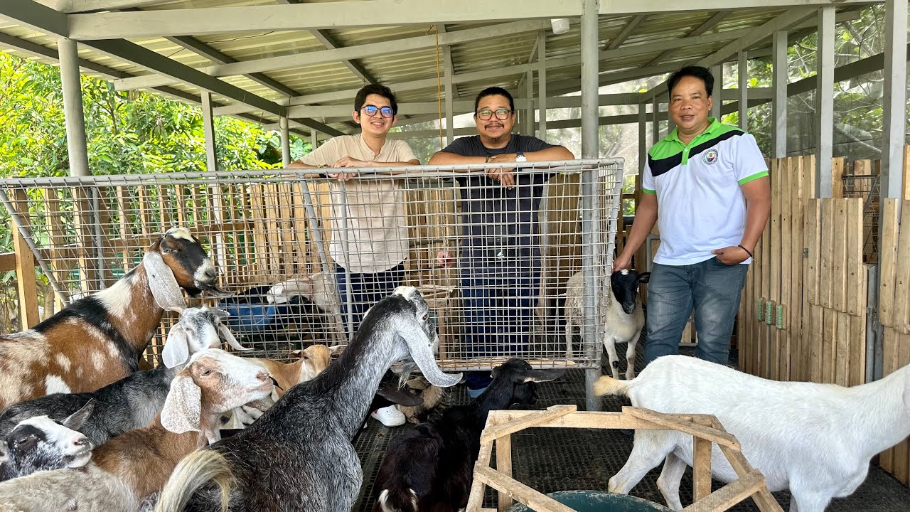 Libreng PAKASTA para sa Goat Development Program!