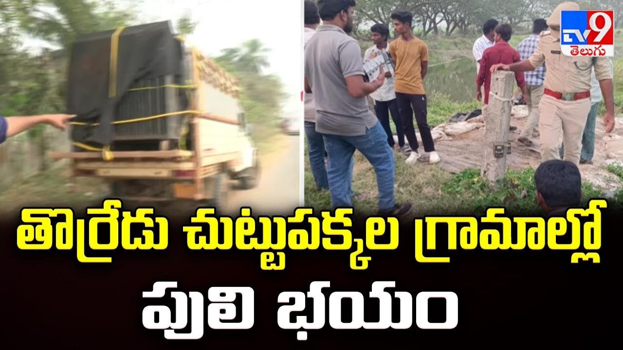 తొర్రేడు చుట్టుపక్కల గ్రామాల్లో పులి భయం - TV9