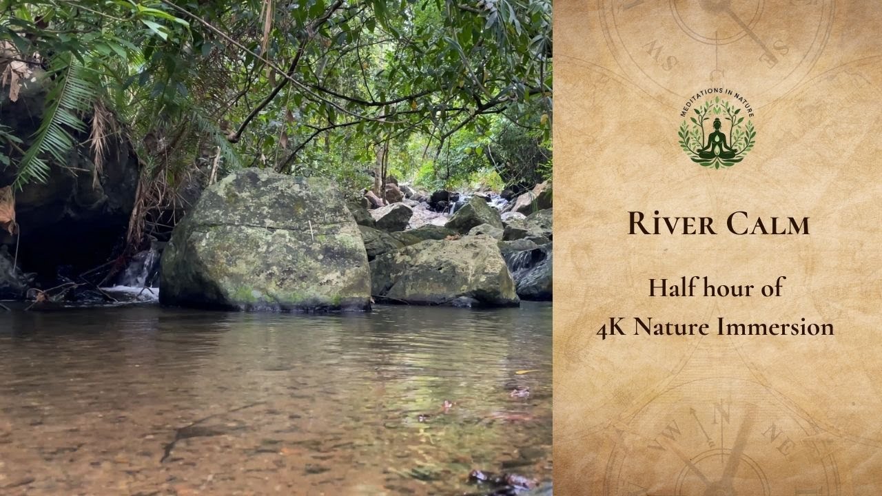 The River's Embrace Immersive Sounds for Deep Sleep and Relaxation