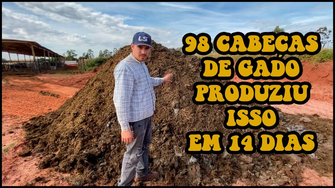 LIMPANDO CONFINAMENTO - EP 04 - O esterco coletado #confinamento #esterco #lucro