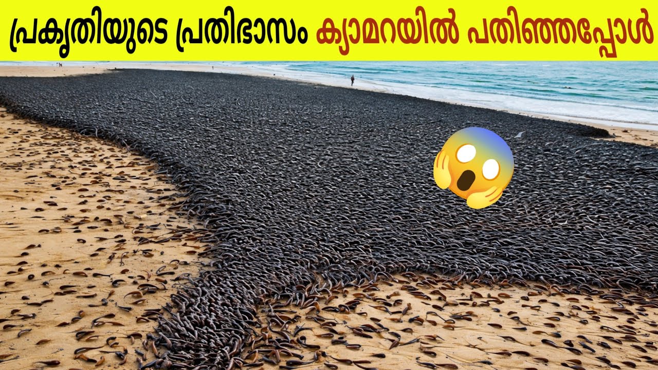 ശാസ്ത്ര ലോകത്തെ ഞെട്ടിച്ച പ്രതിഭാസങ്ങൾ!😱  One In Billion Moments Caught On Camera | Story Lokam 