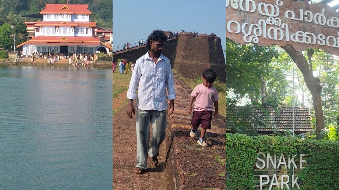 Mini tour 🥰|#malayalamvlog|saranya arun