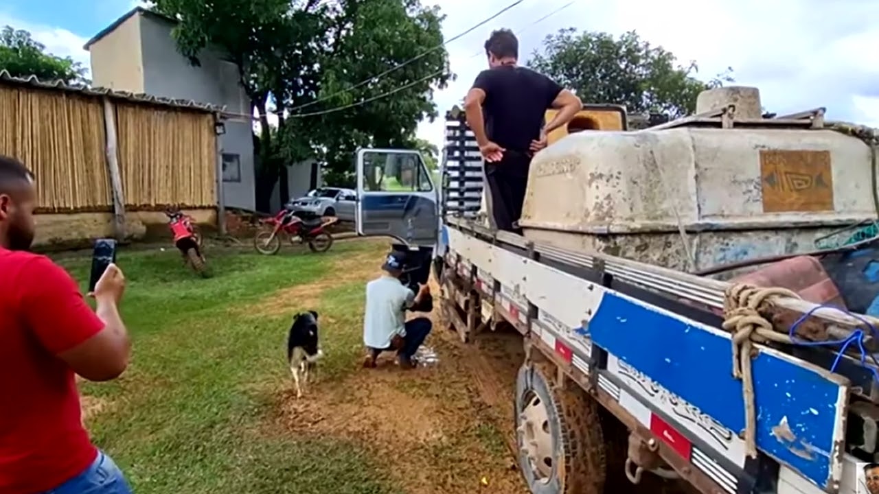 COMO ADESTRAR SEUS PEIXES MESMO SENDO SELVAGENS   canal saalada