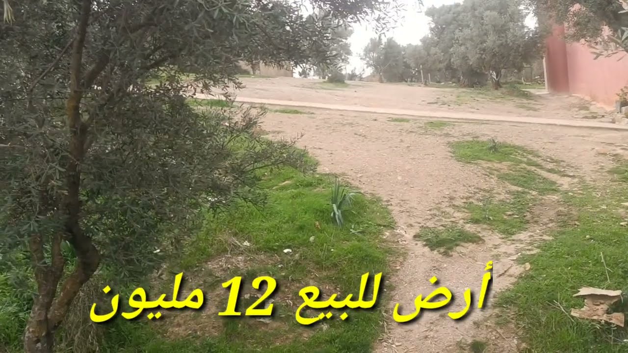 أرض فلاحية 12 مليون فقط. قريبة مدينة طريق ضوء ماء صالحة سكن0679444657