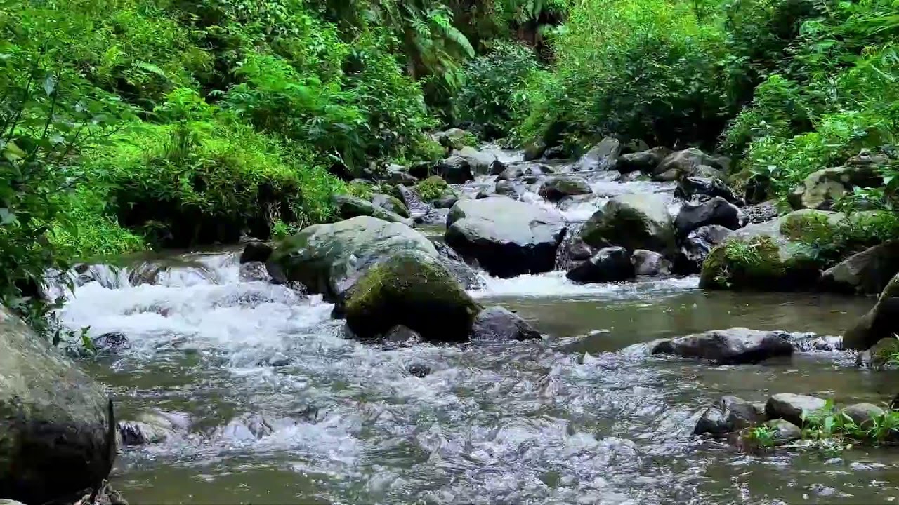 Natural river sound near quiet flowing riverbanks helping calm breathing for deeper deep sleep benef