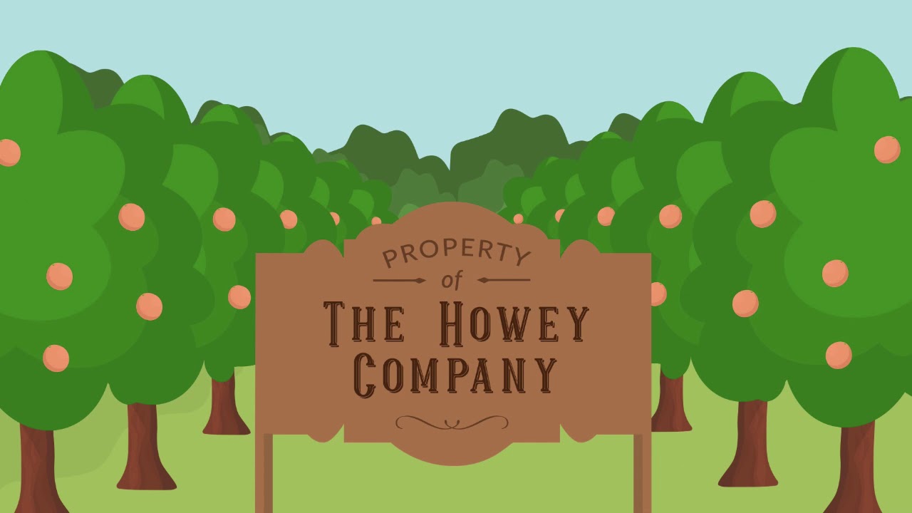 Securities and Exchange Commission v. W. J. Howey Co. Case Brief Summary | Law Case Explained