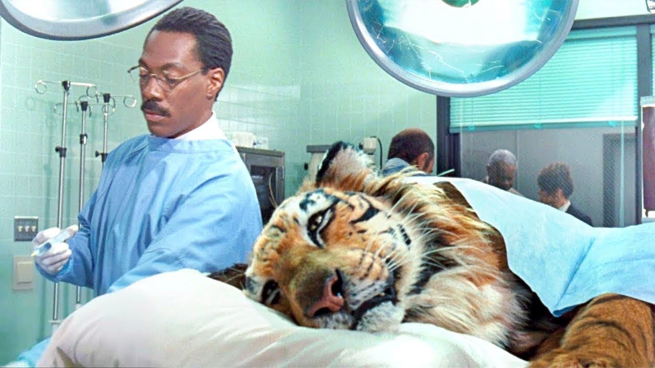 دكتور يستطيع فهم لغة الحيوانات ويعرف اوجاعهم فيبدأ بمعالجتهم لكن الناس لم تصدقه | doctor dolittle