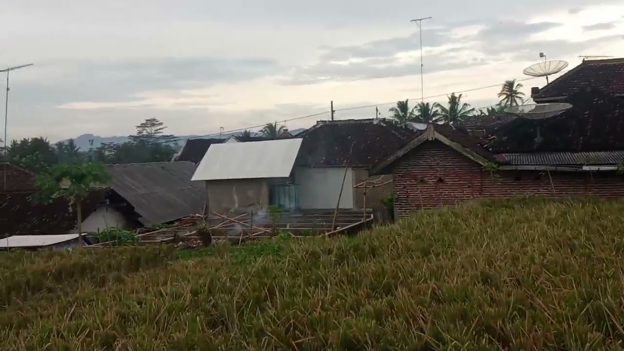 Assalamualaikum baru buat story sore ini 