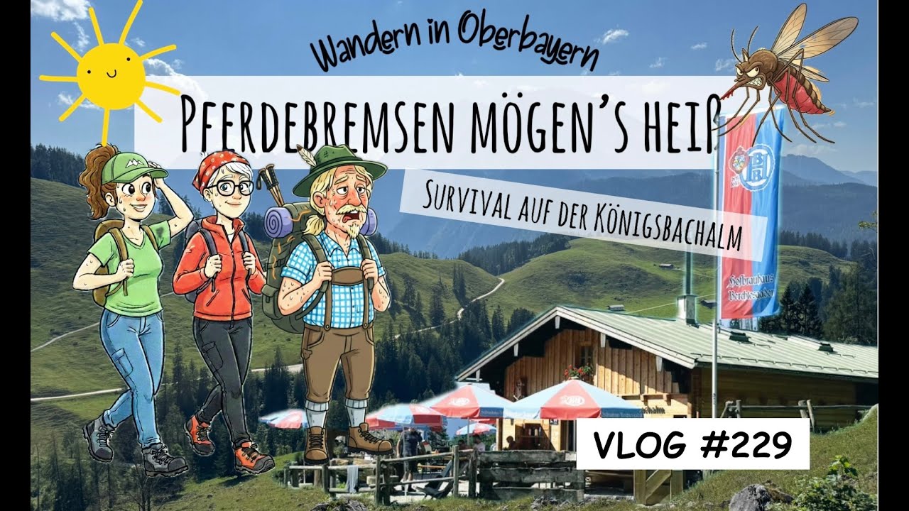 Wandern in Oberbayern (09.08.2025): Wanderung zur Königsbachalm - VLOG #229