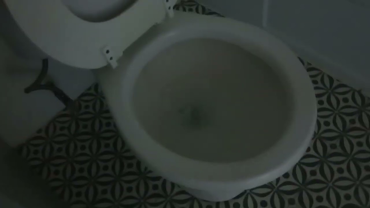 🏘️Sweeping 🧹 & Mopping 💧🧽🧼🚽🫰🏾