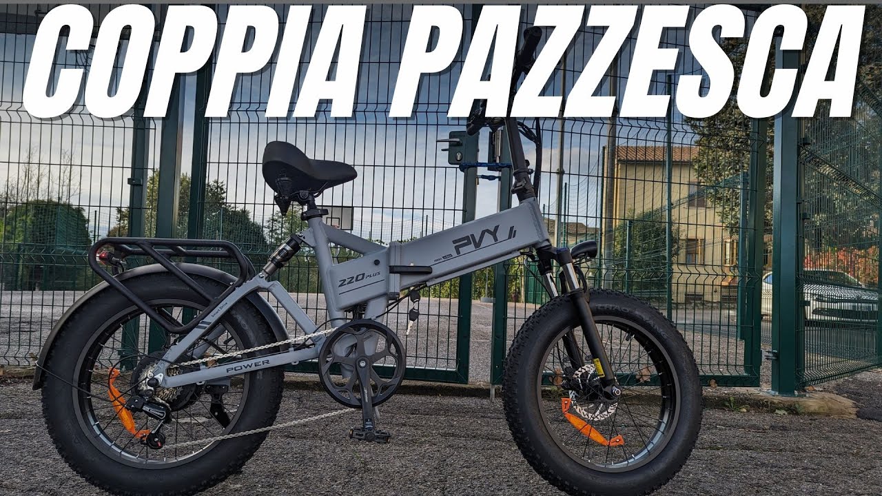 PVY Z20 Plus | 100 nm di Coppia
