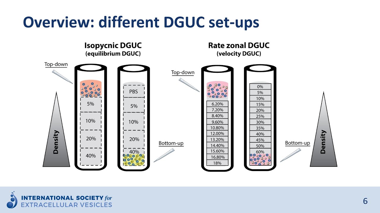Density gradient ultracentrifugation to isolate extracellular vesicles