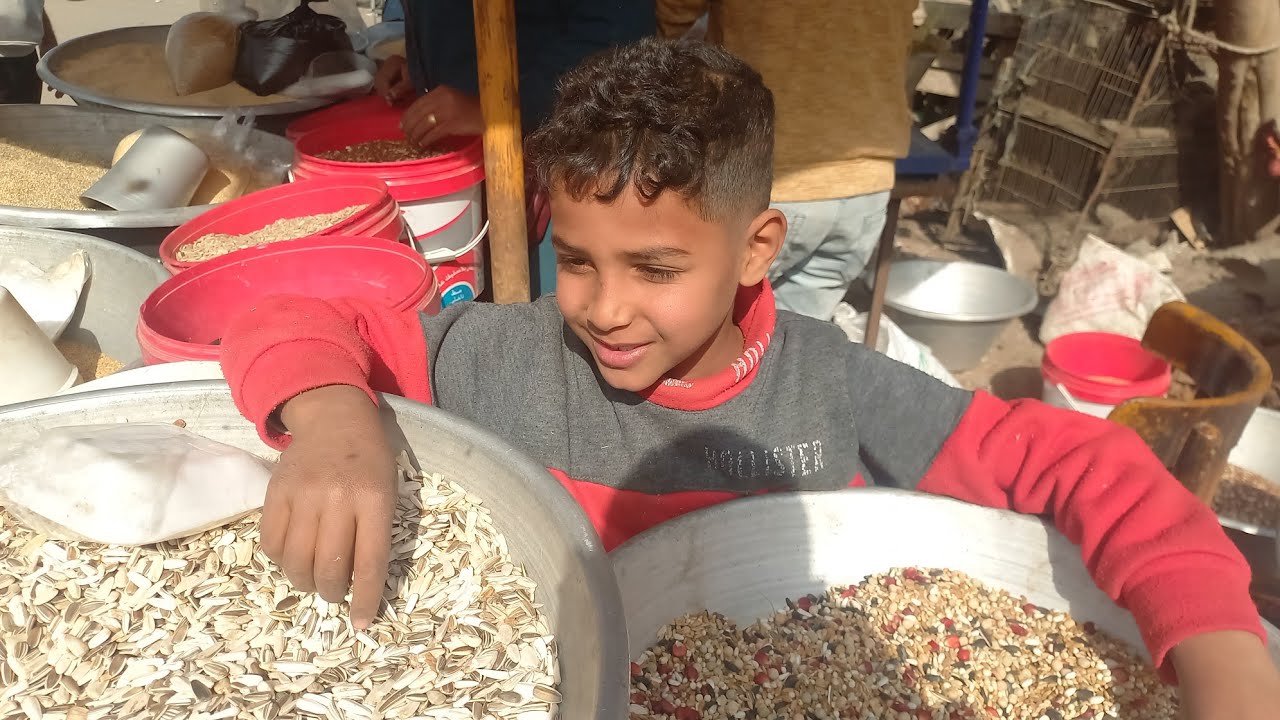 العالمي ابو طه وأم يوسف اسعار اكل العصافير هذا الأسبوع من سوق الجمعة الاربعاء ٢٨يناير