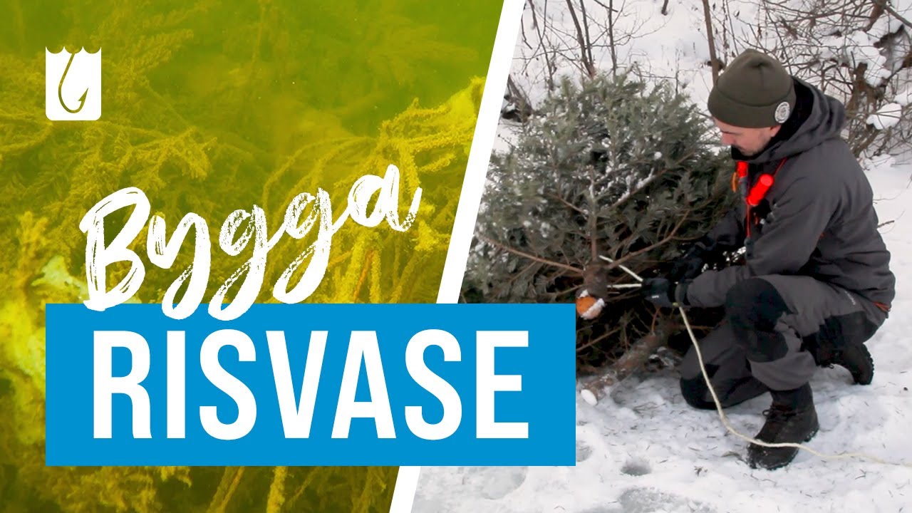 Så Bygger du Enklast en Risvase - och Hjälper Fiskarna