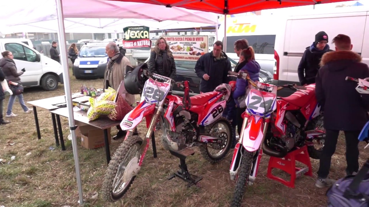 Transborgaro 2016