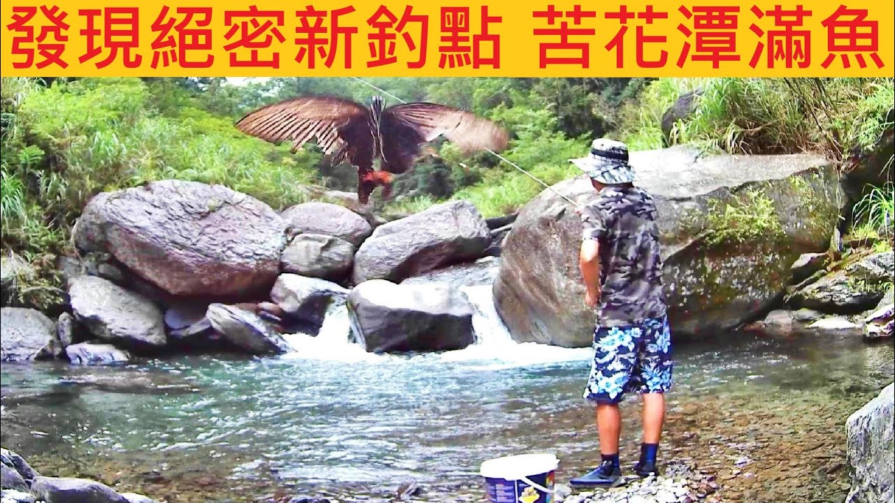 發現絕密新釣點 苦花潭滿魚 @只花40分鐘  就釣一大包苦花  簡直有點太爽 #溪釣 #苦花