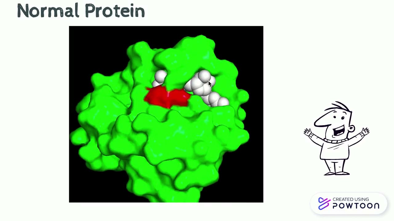 Costello Syndrome and H-Ras