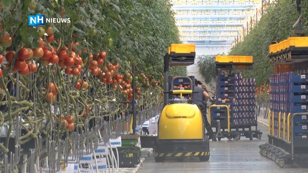 Tuinders zijn verslaafd aan gas en CO2