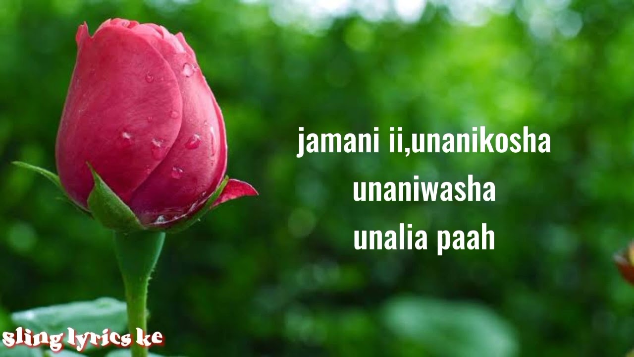 Nitasema (lyrics) - Jay Melody - (slinglyricske) @jaymelody @Wasafi_Media @YouTube