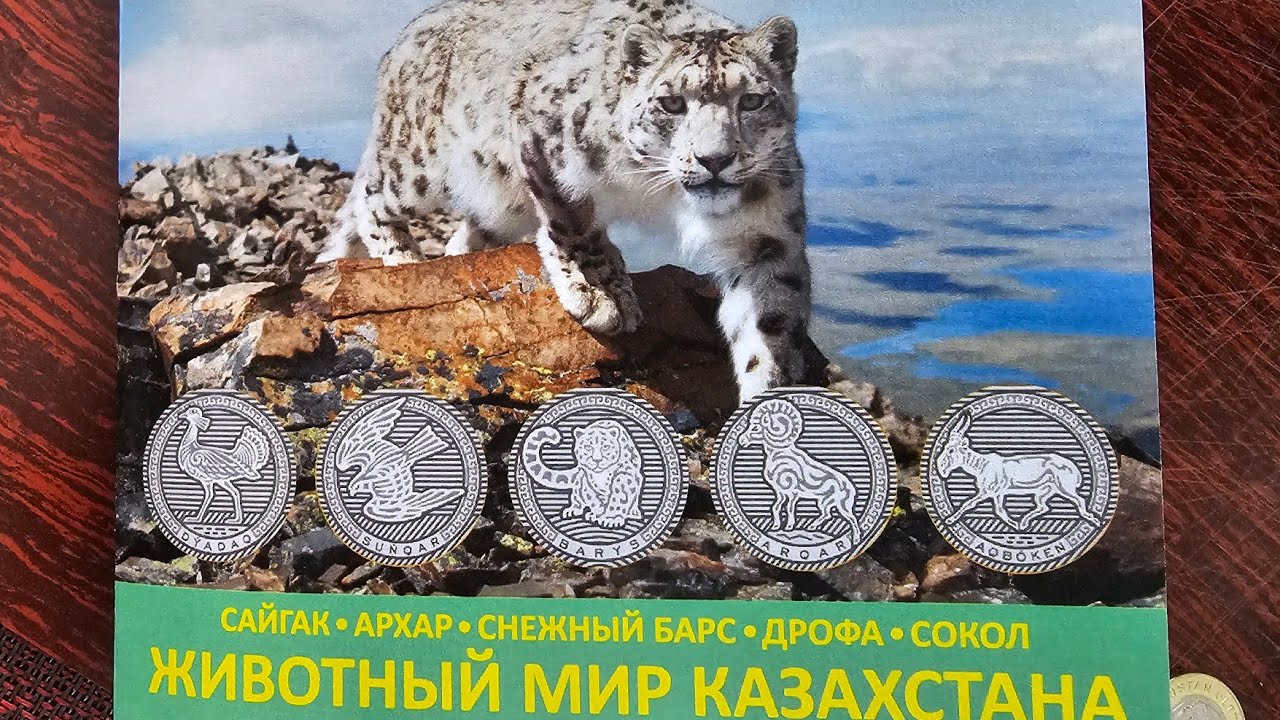 Срочно в Нацбанк! В честь года Лошади начали давать монеты 100 тенге 2025 Животный мир Казахстана