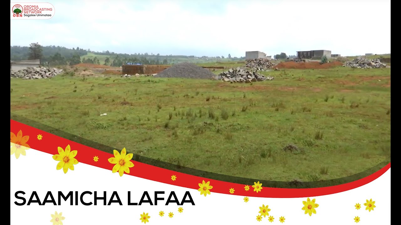 Saamicha Lafa