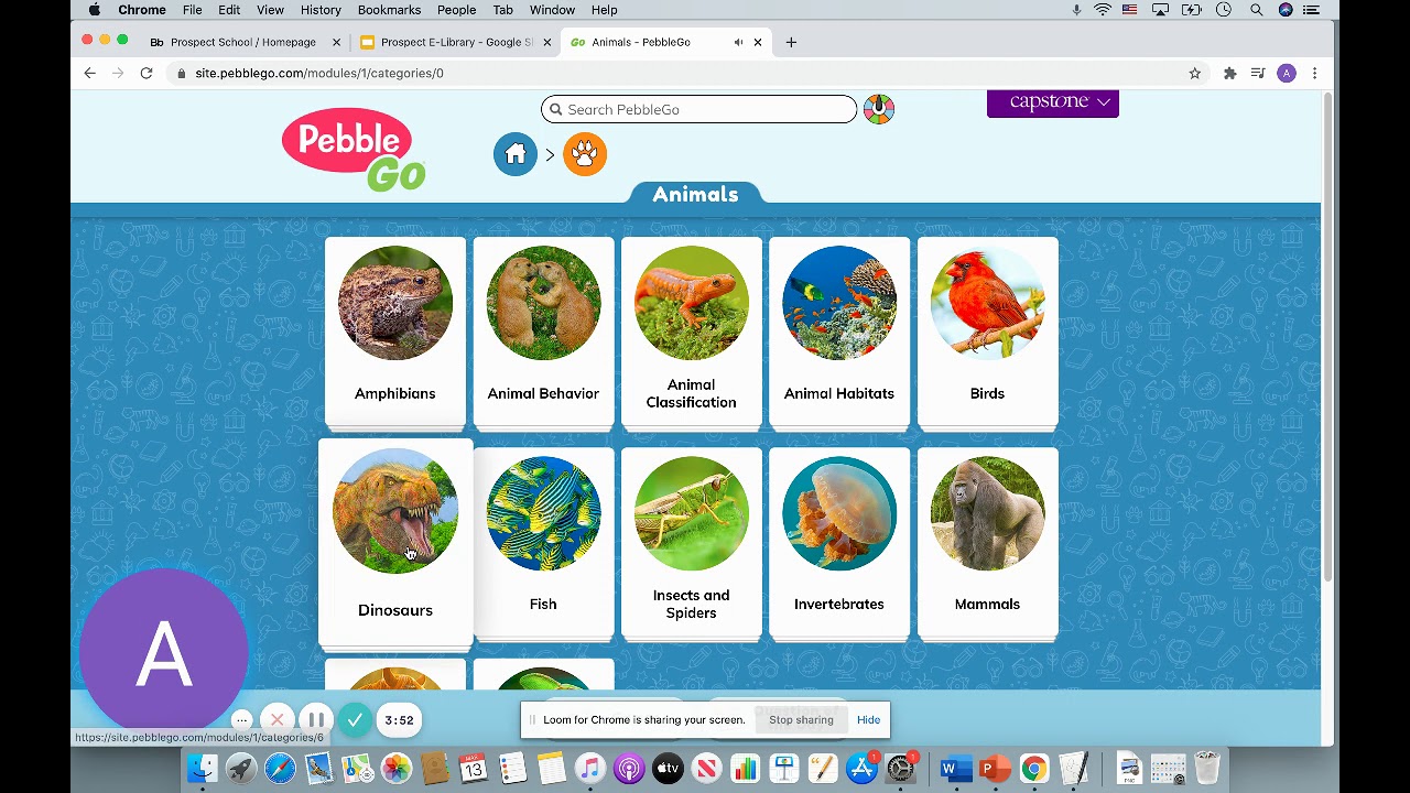 Students How To Use Pebble Go