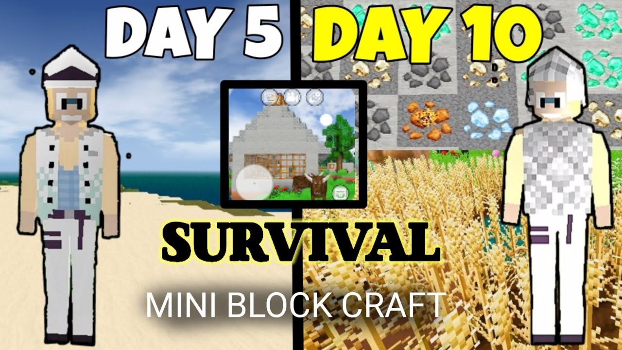 DAY 6-10 SURVIVAL MINI BLOCK CRAFT