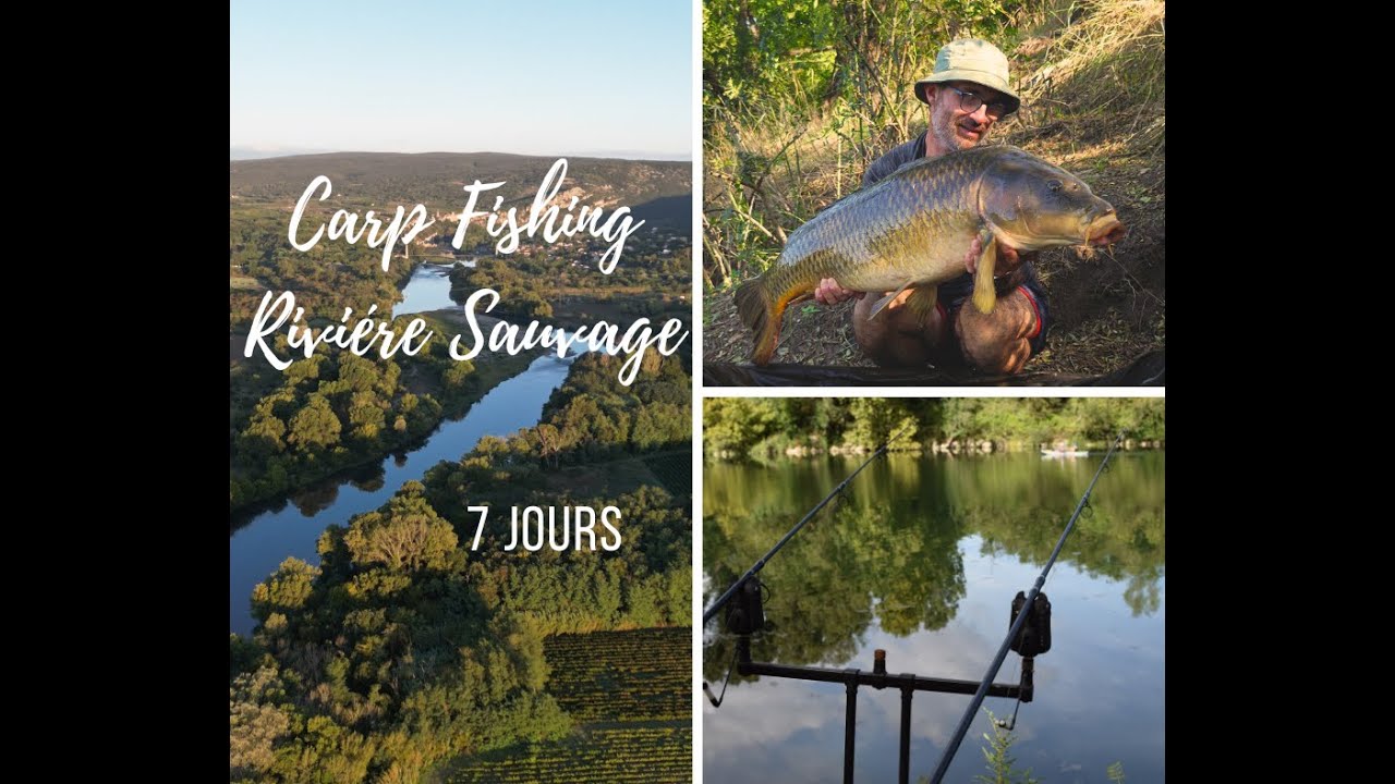 CarpFishing Rivière Sauvage .