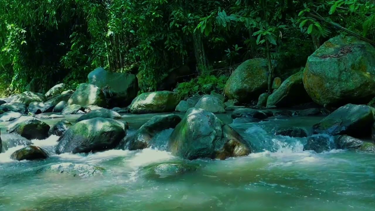3 Hours Flowing Water Sounds - Natural White Noise for Sound Sleep 😴