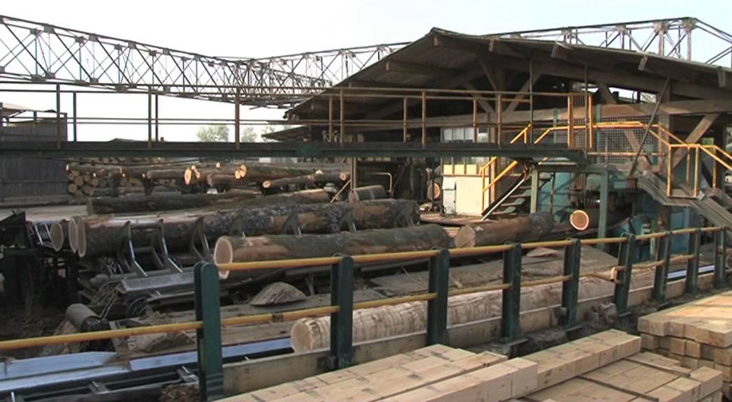 Scierie TARTERET, spécialiste du bois durs et autres feuillus en France.