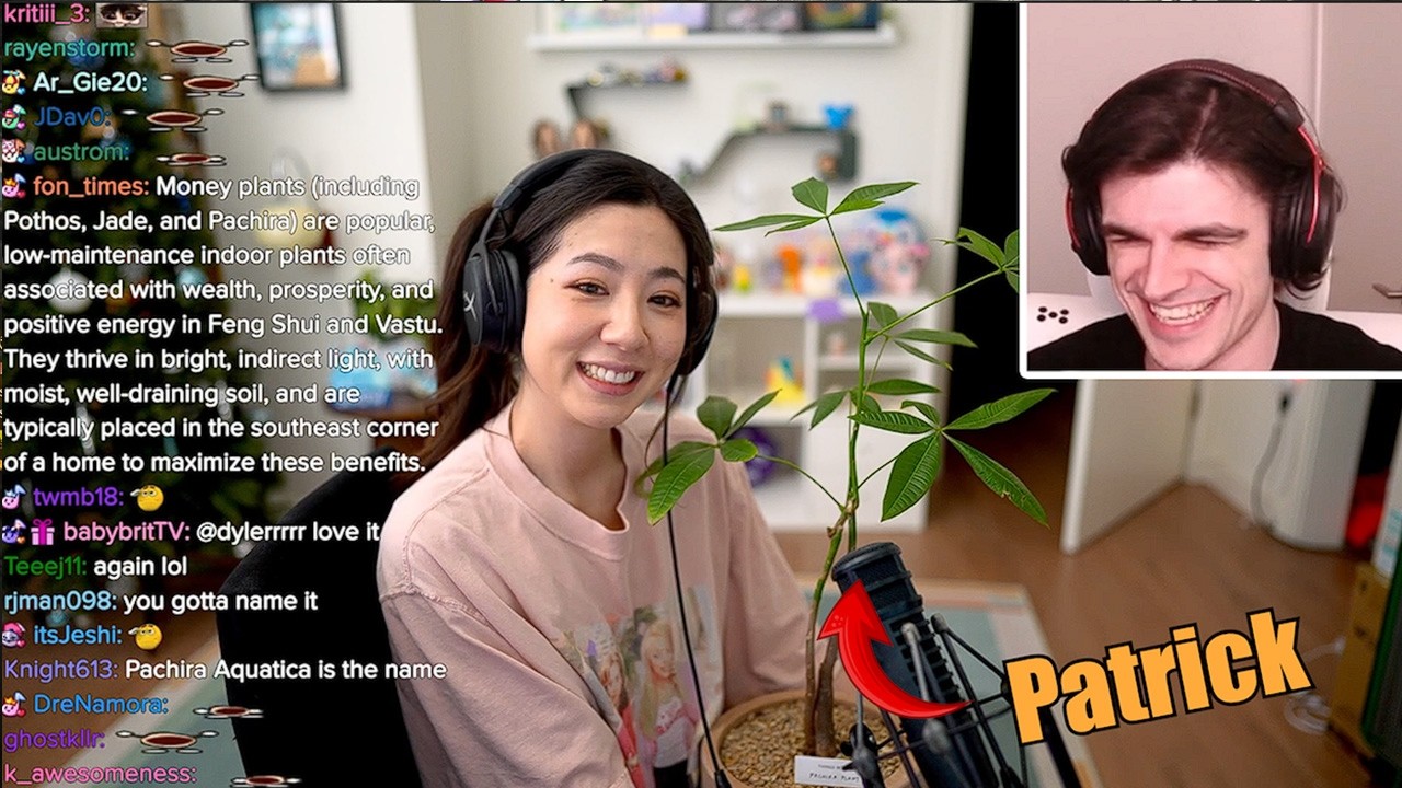 Fuslie Becomes a Plant Mom And Foolish a Godfather