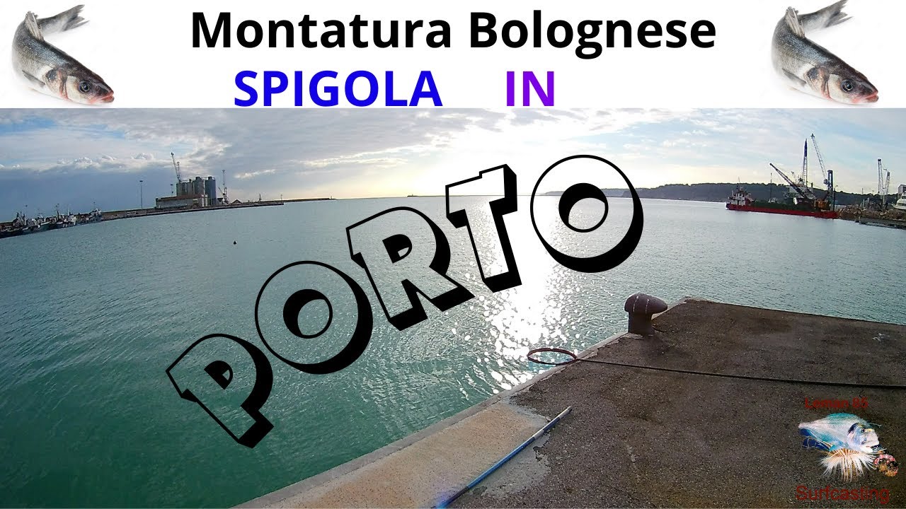 Montatura SPIGOLA in Porto (Pesca a Bolognese)