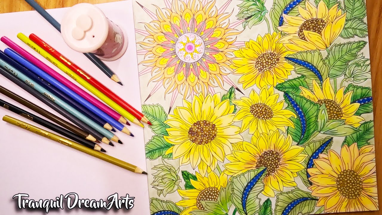 Relaxing  Flowers Coloring 💐 | 🌻 Relaxing Sunflower Coloring | Calm Art Session with Soothing Music