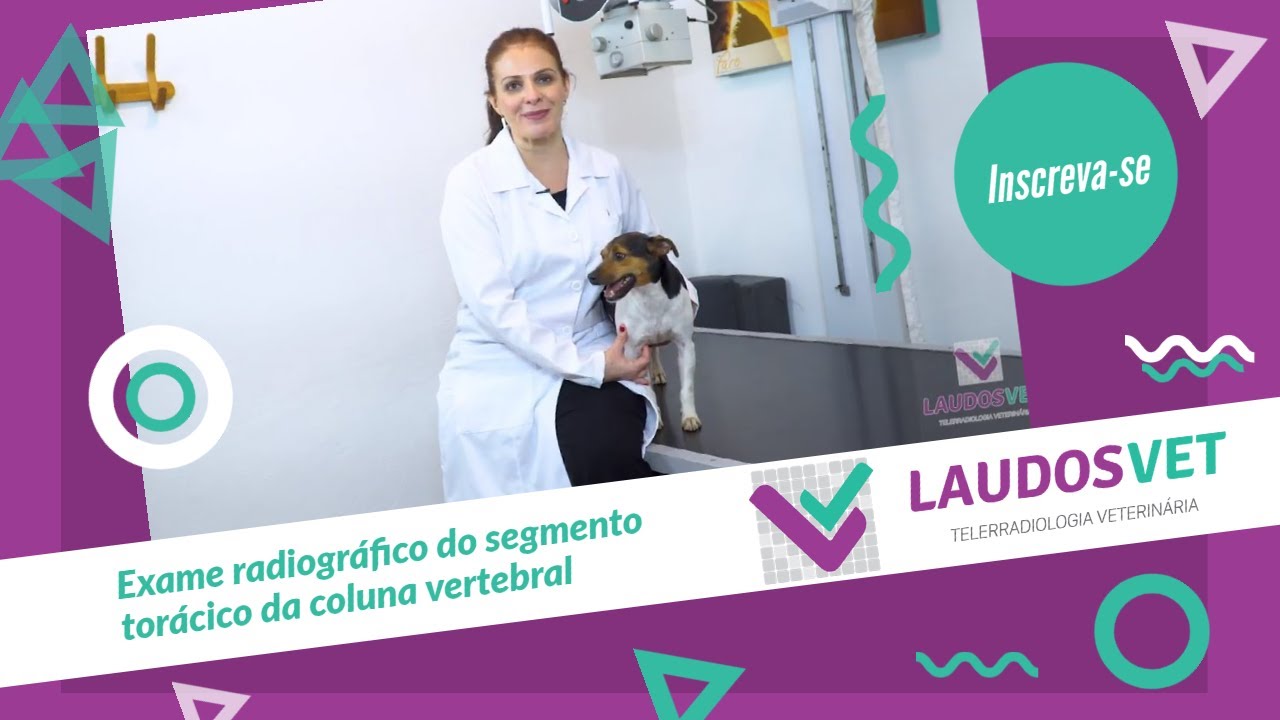 Exame radiográfico do segmento torácico da coluna vertebral