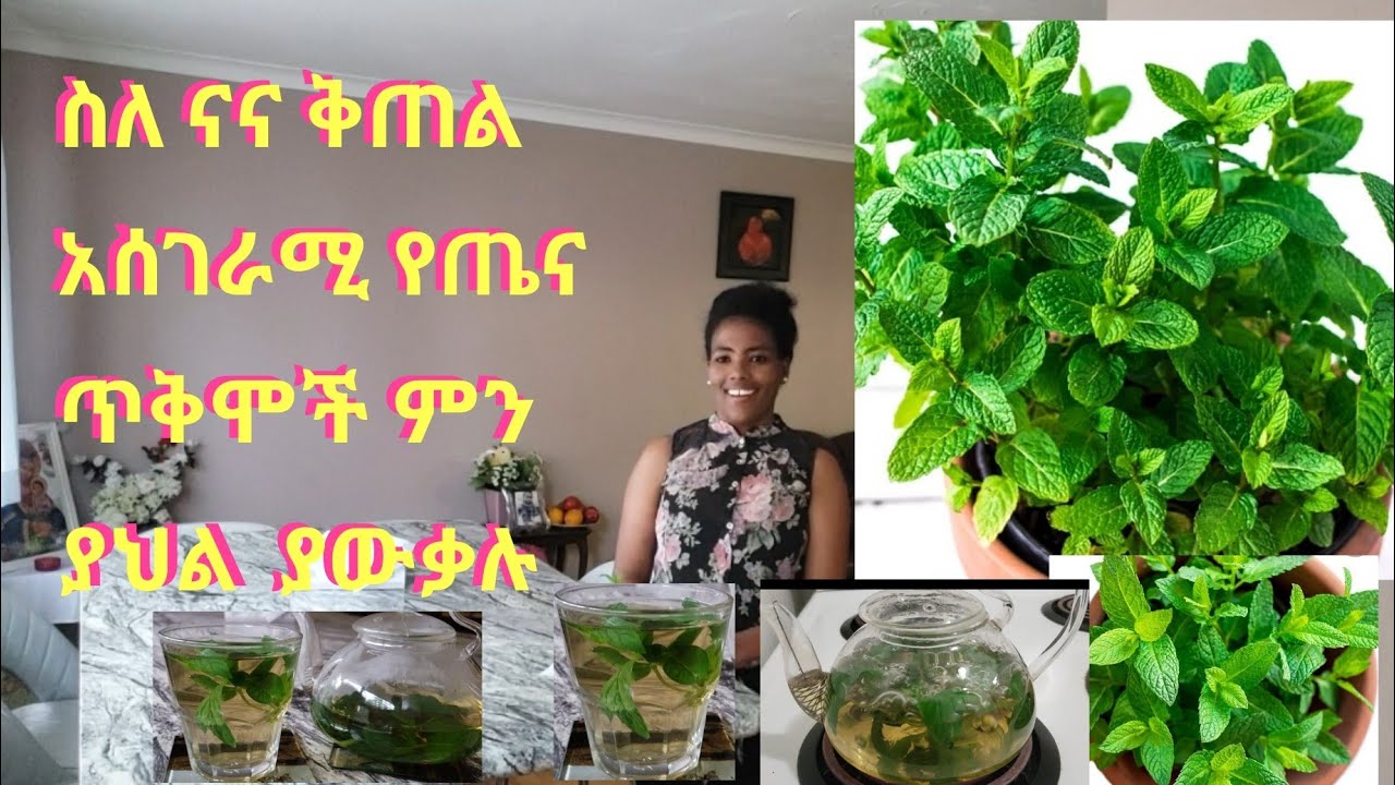 ስለ ናና ቅጠል አስገራሚ ጥቅሞች ምን ያህል ያውቃሉ ? Mint Leaves Health Benefits & Uses