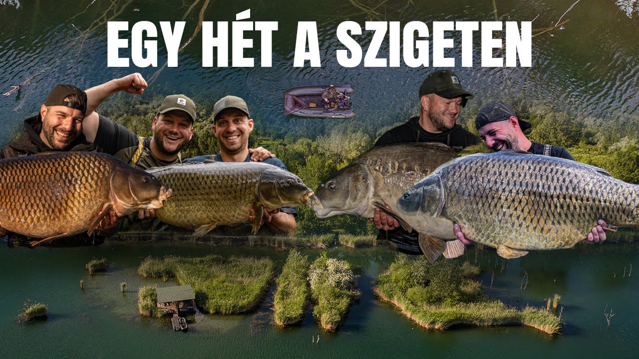 AHOL AZ ÁLMOK VALÓRA VÁLNAK💫 - PONTYHORGÁSZAT ECSÉDEN🎣🪾🔥