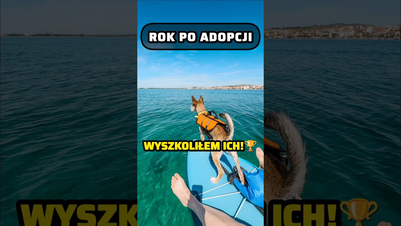 Raport Roczny: Jak wyszkolić człowieka?